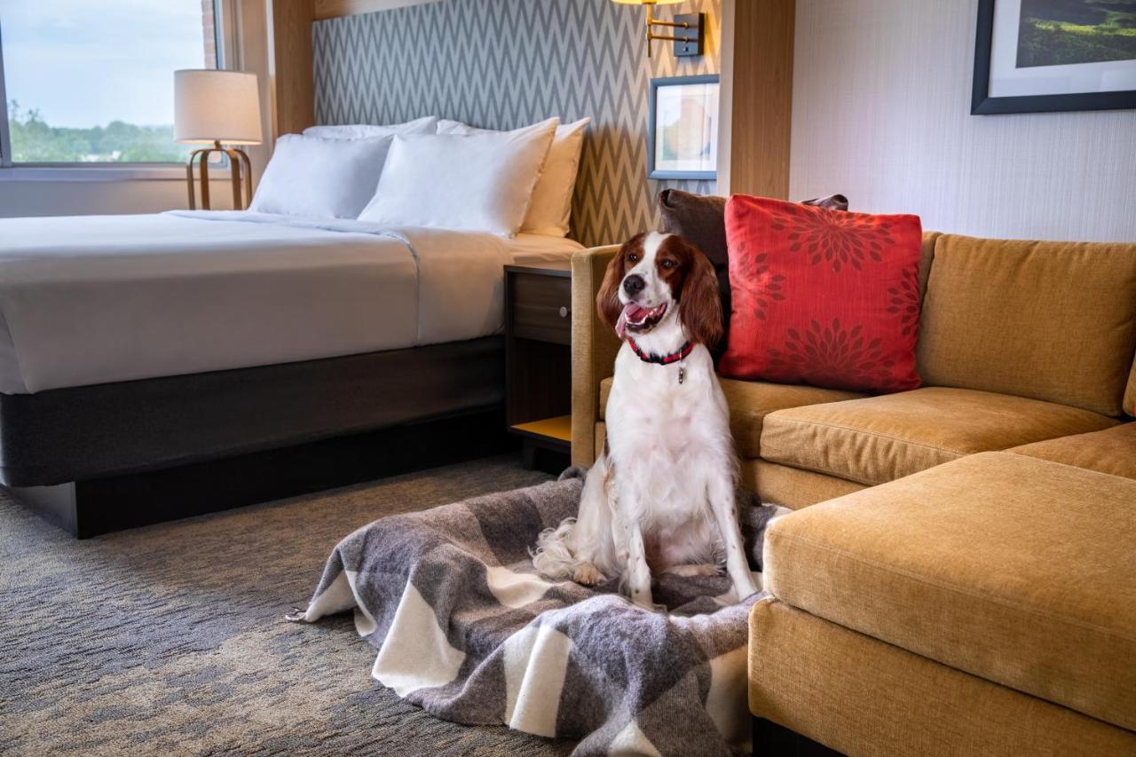 Holiday Inn Charlottesville-Monticello By Ihg Exterior photo